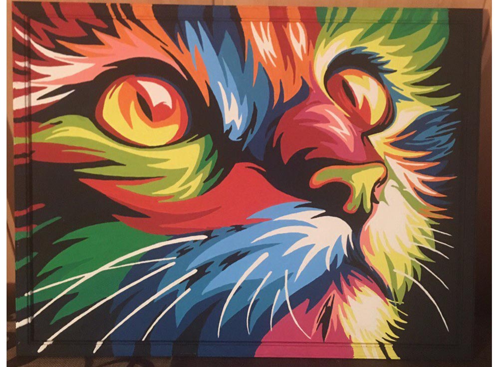 Цветной ru. Раскраска мини Артвентура картина по номерам Радужный кот. Разноцветный Лев. Картина по номерам разноцветный кот. Радужный кот.