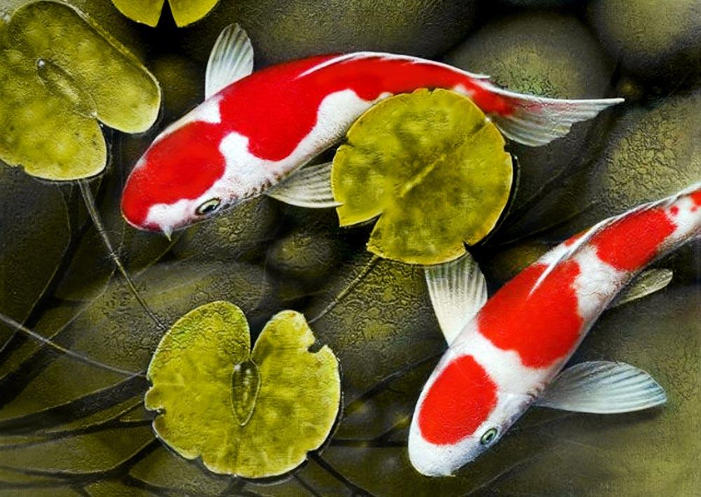 Рыбы японии названия