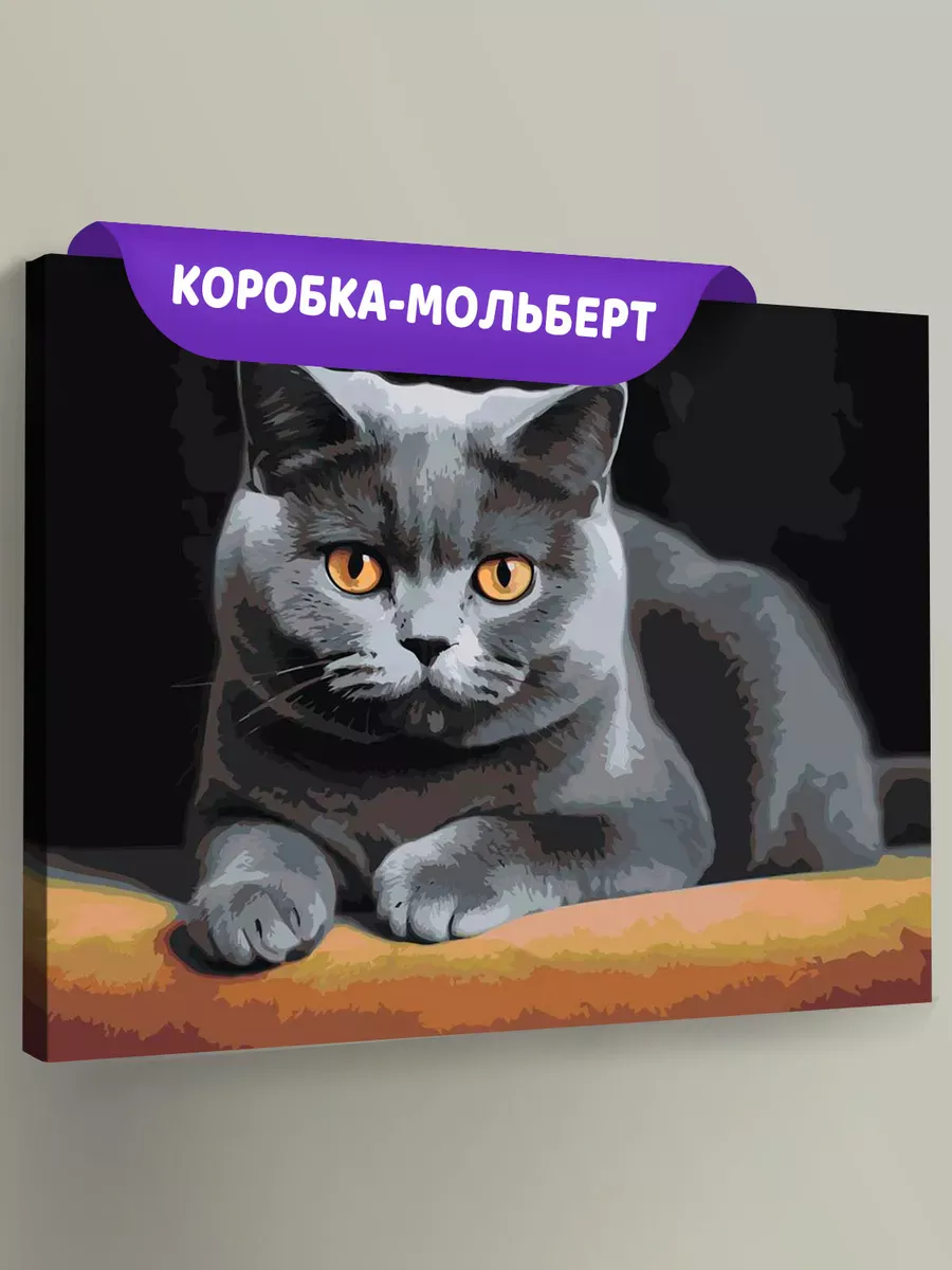 Картина по номерам «Серьезный британский кот»