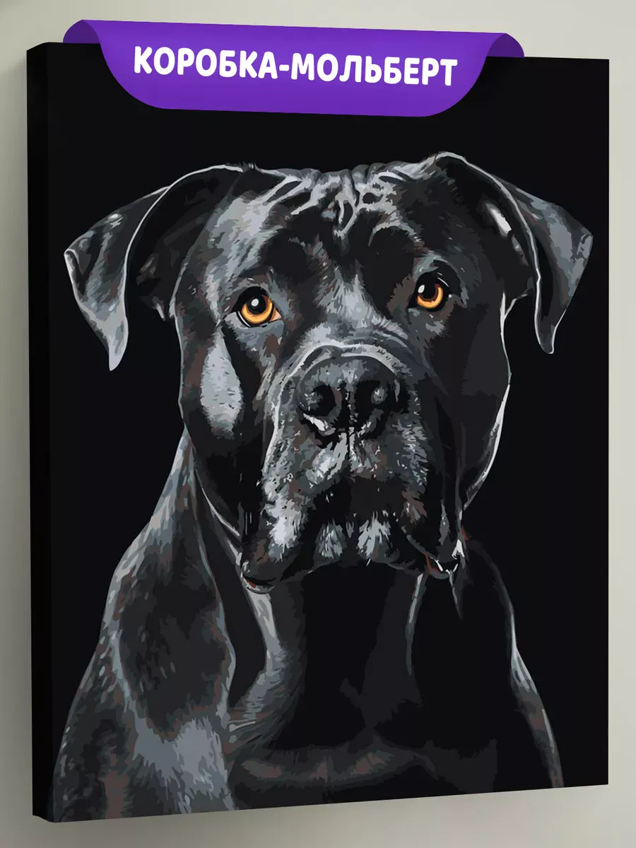 Картина по номерам «Собака Кане корсо на черном фоне» Картина по номерам «Собака Кане корсо на черном фоне»