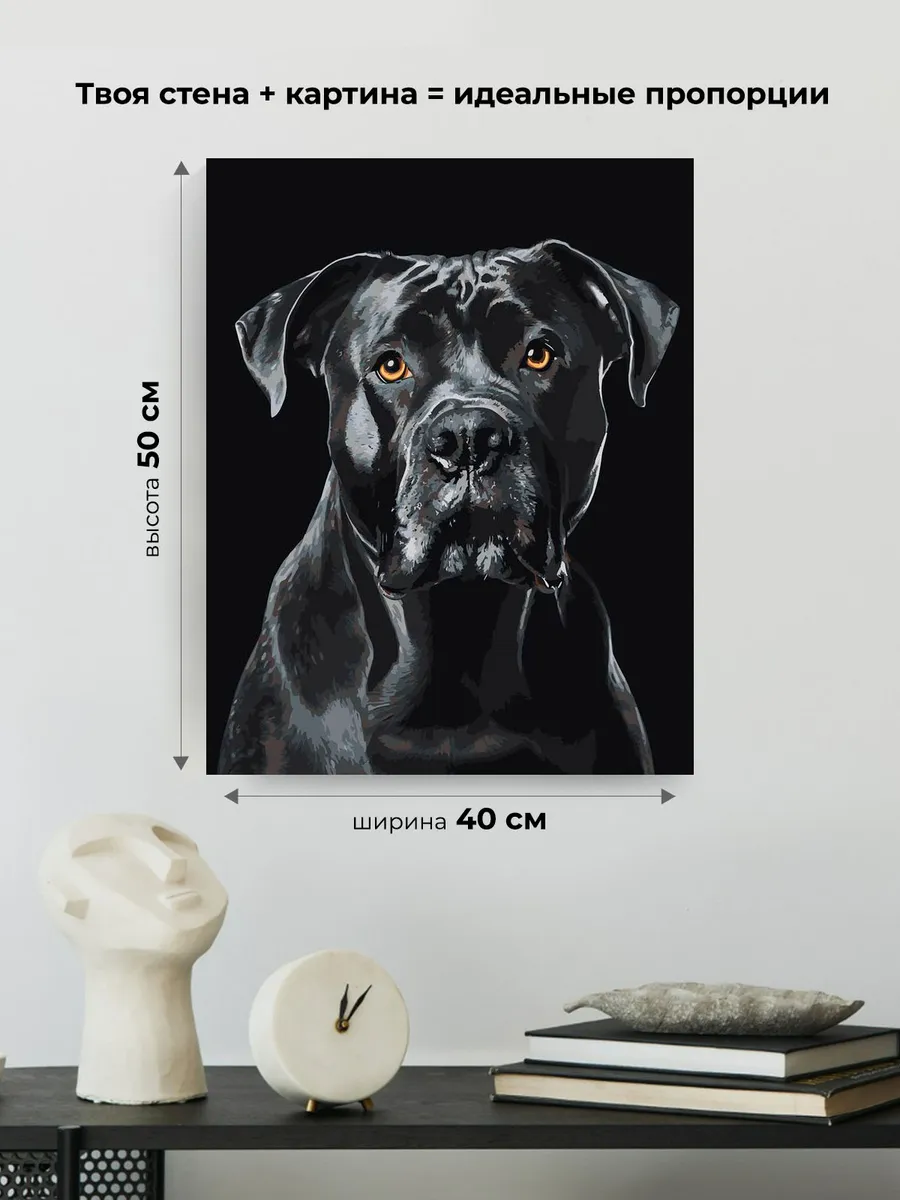 Картина по номерам «Собака Кане корсо на черном фоне» — картинка 3