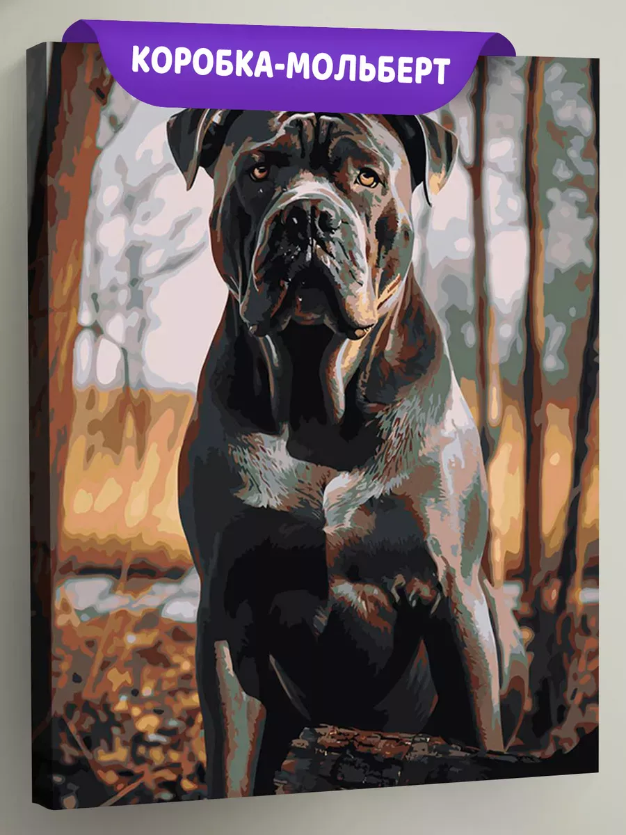 Картина по номерам «Собака Кане корсо в осеннем лесу» Картина по номерам «Собака Кане корсо в осеннем лесу»