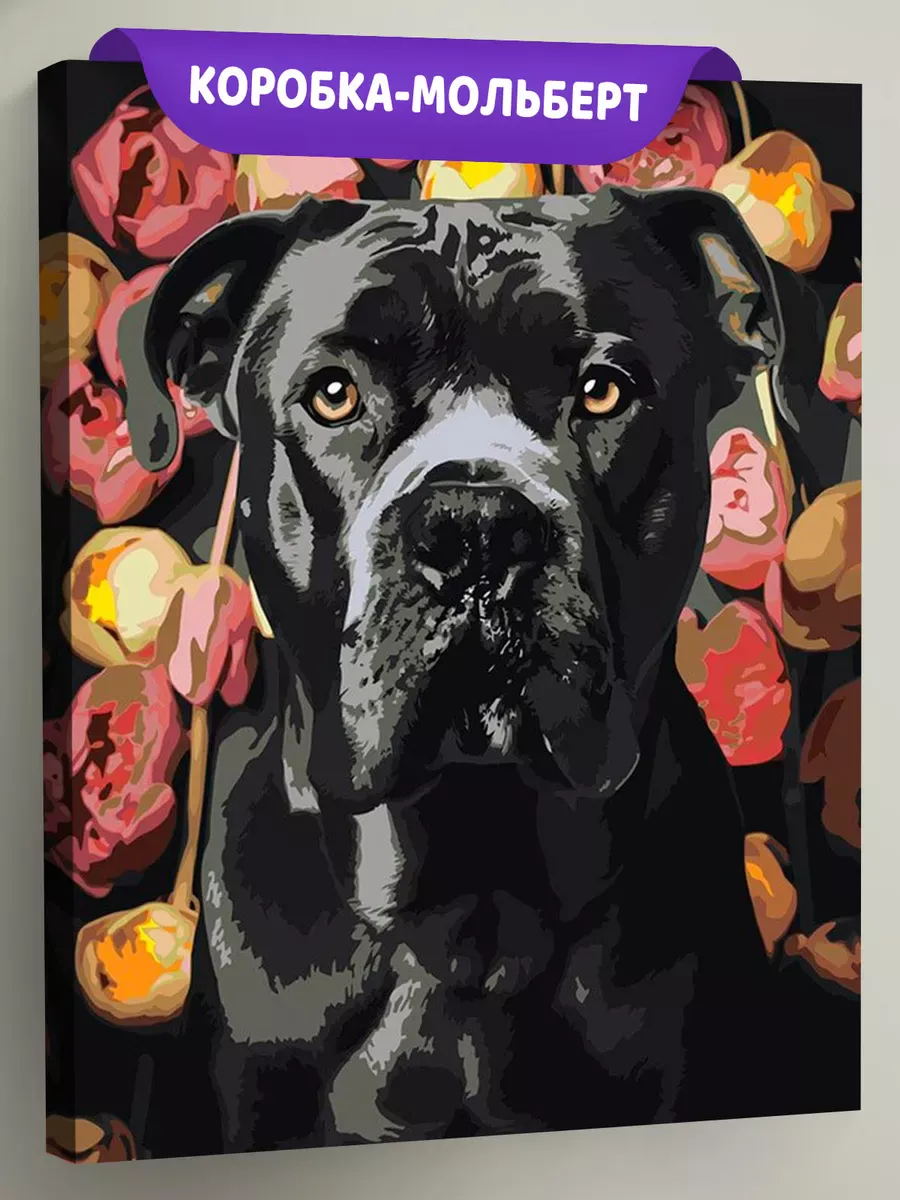 Картина по номерам «Собака Кане корсо в цветах 2» Картина по номерам «Собака Кане корсо в цветах 2»