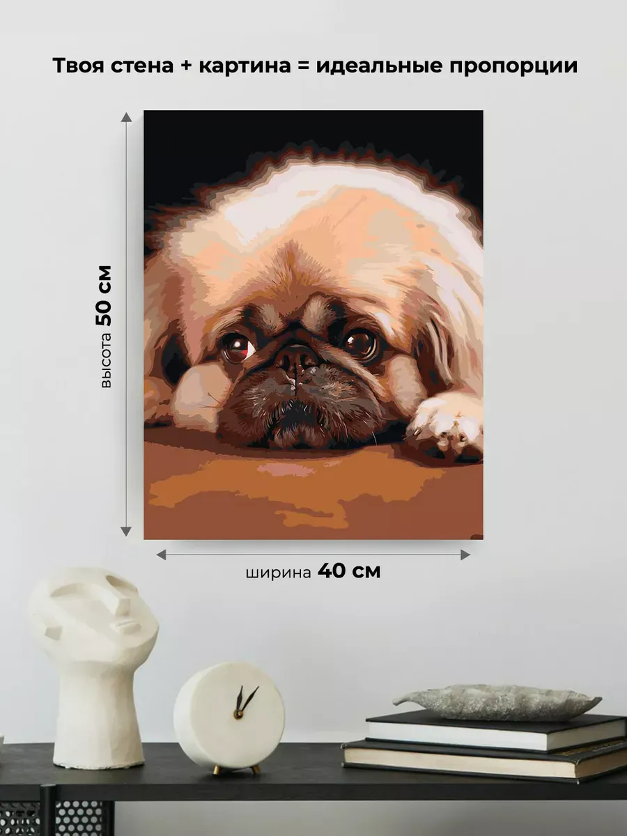 Картина по номерам «Грустная собака Пекинес» — картинка 3