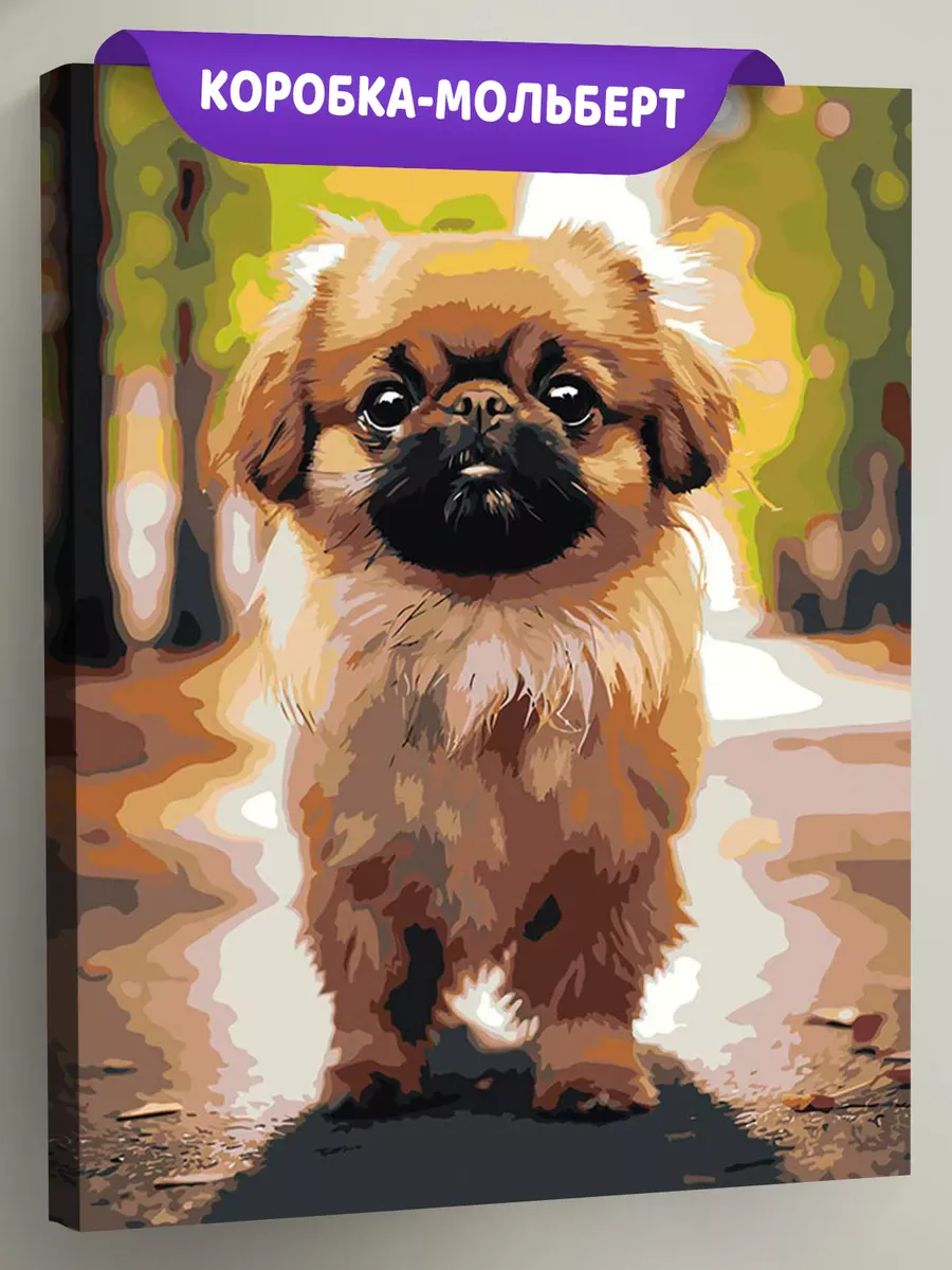 Картина по номерам «Собака Пекинес гуляет по городу 4»