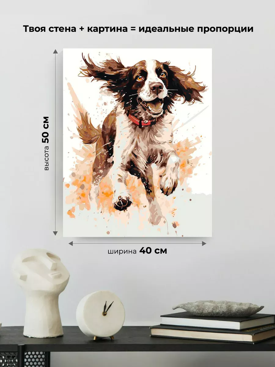 Картина по номерам «Собака Спаниель в прыжке» — картинка 3