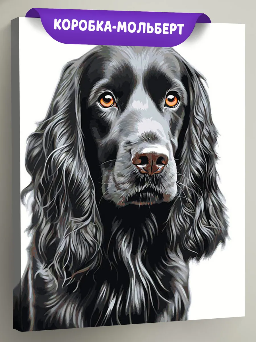 Картина по номерам «Собака Спаниель черная 2»