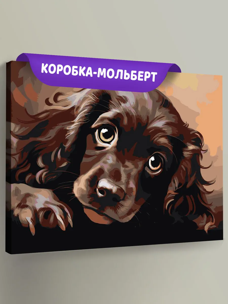 Картина по номерам «Собака Спаниель милый щенок»