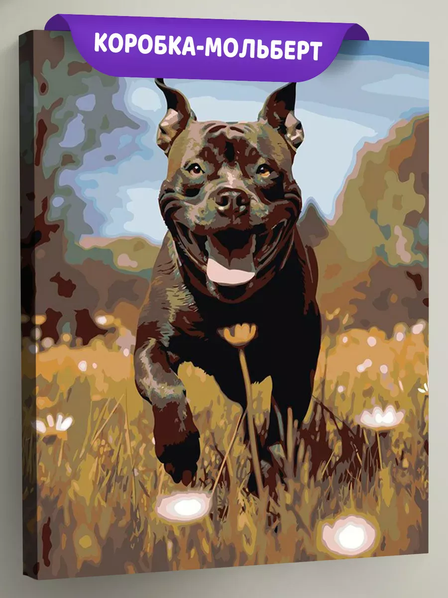 Картина по номерам «Собака Стаффорд (Стаффордширский терьер) 2» Картина по номерам «Собака Стаффорд (Стаффордширский терьер) 2»