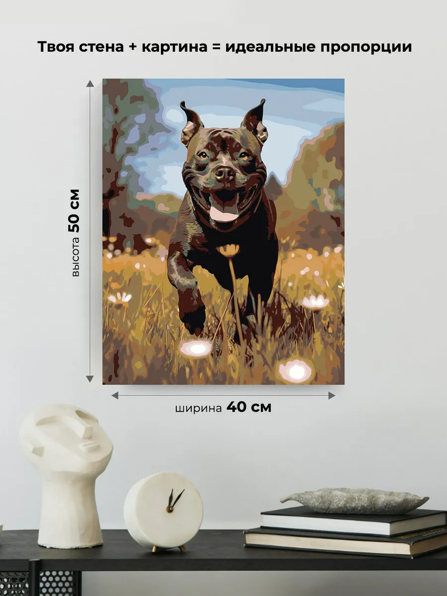 Картина по номерам «Собака Стаффорд (Стаффордширский терьер) 2» — картинка 3