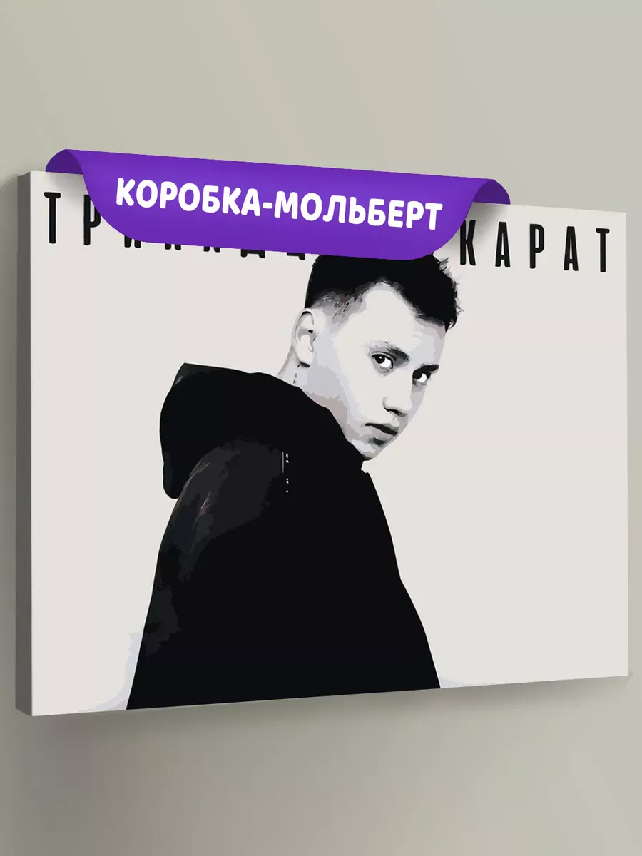 Картина по номерам «Поп-рок музыкант 13 тринадцать карат 2»