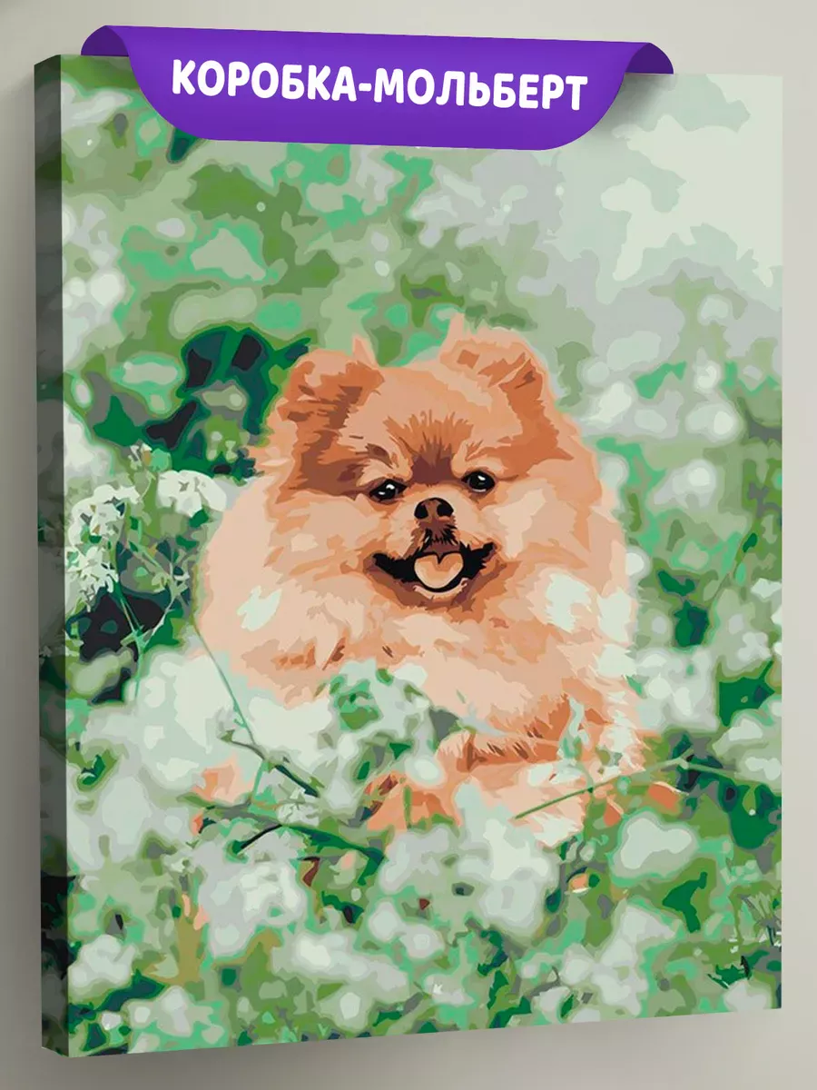 Картина по номерам «Собаки: Шпиц в зелени и цветах 40х50»