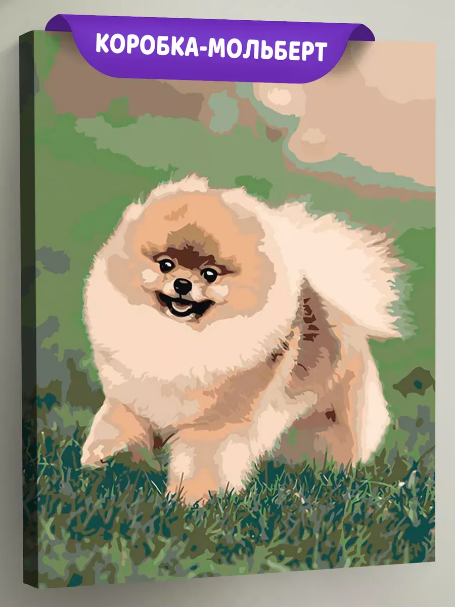 Картина по номерам «Собаки: Шпиц милый щенок 40х50»