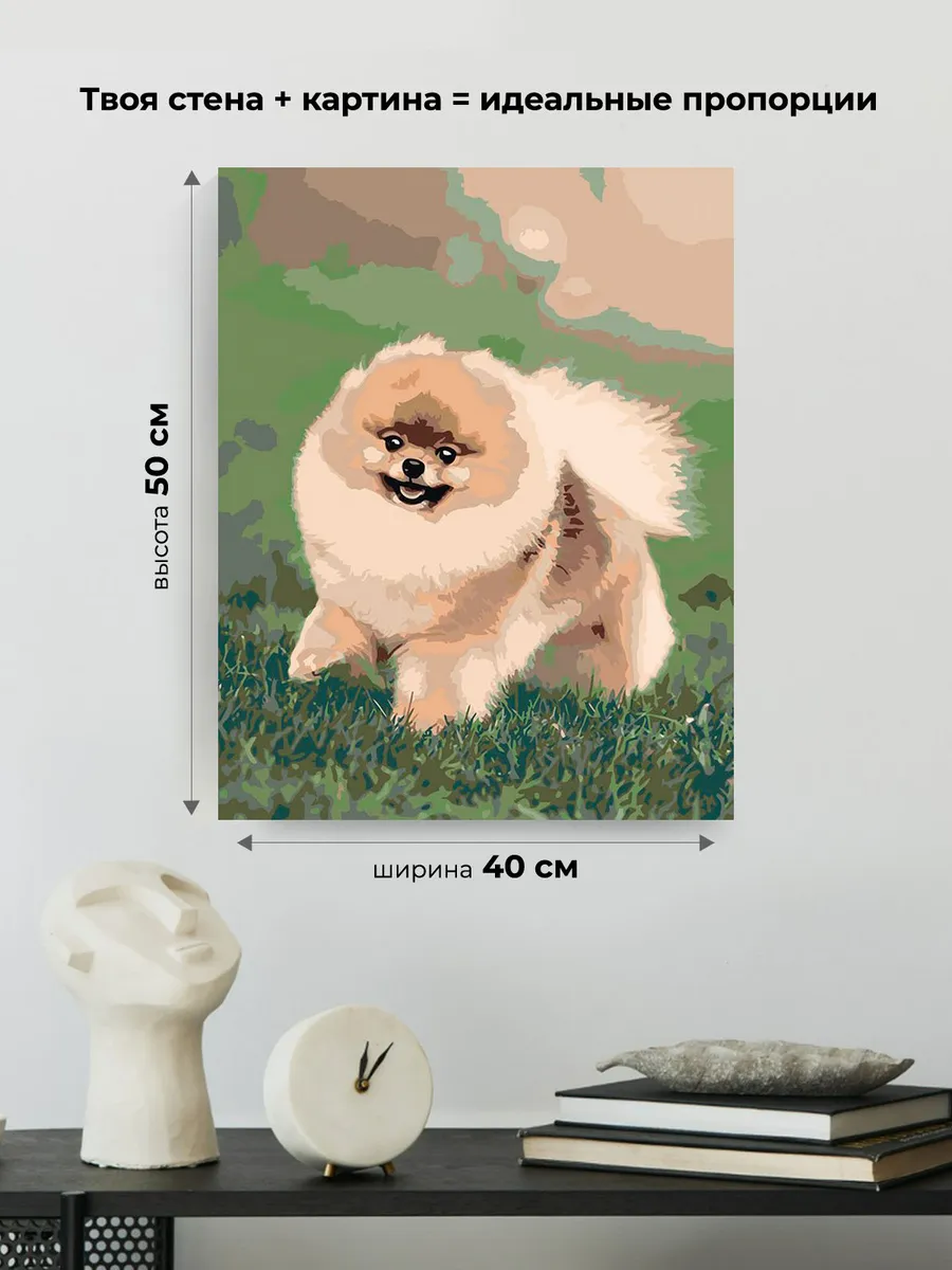 Картина по номерам «Собаки: Шпиц милый щенок 40х50» — картинка 3