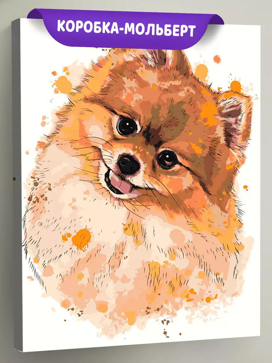 Картина по номерам «Собаки: Шпиц акварель арт 40х50»