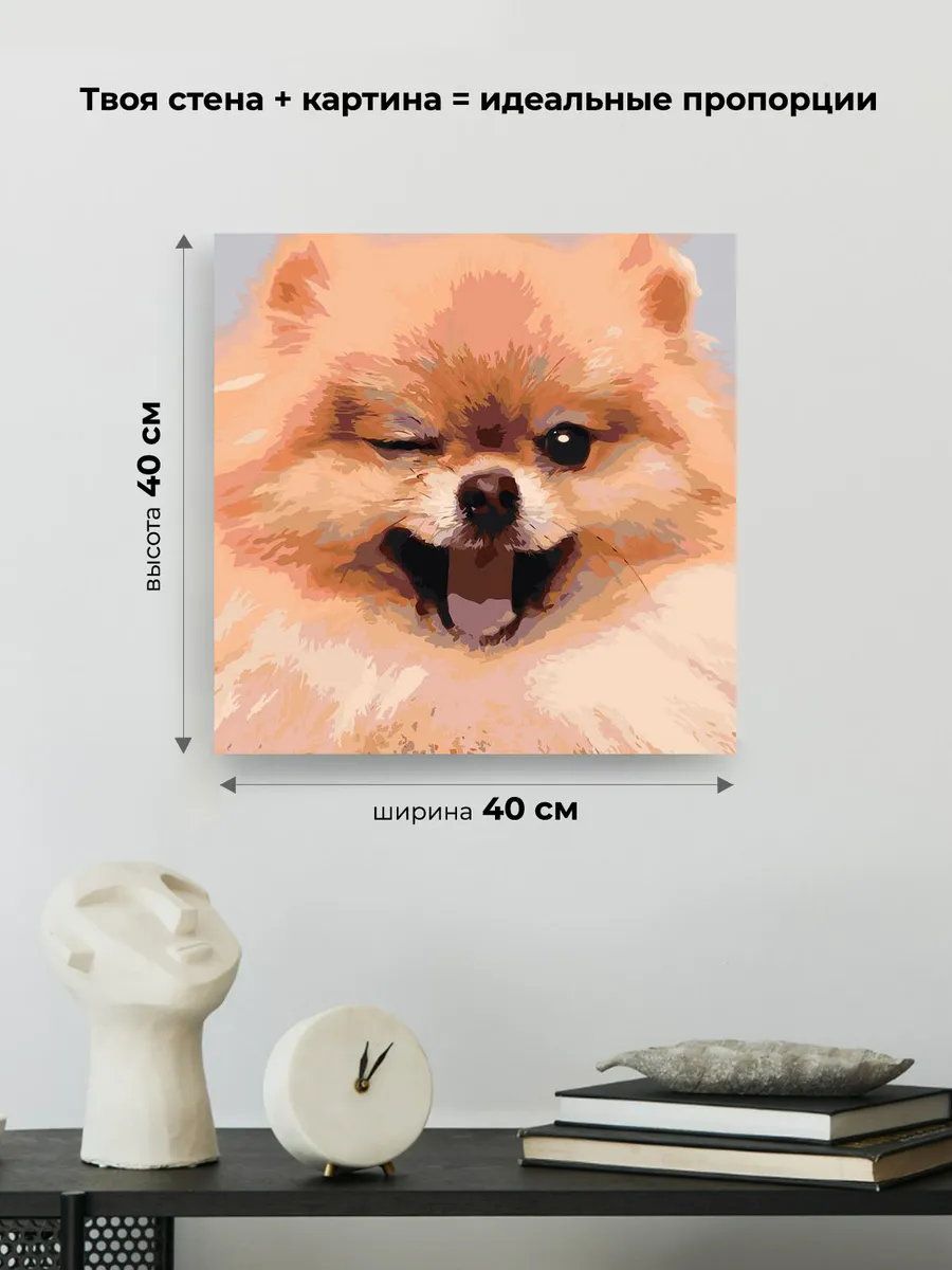 Картина по номерам «Собаки: Шпиц милый щенок 40х40» — картинка 3