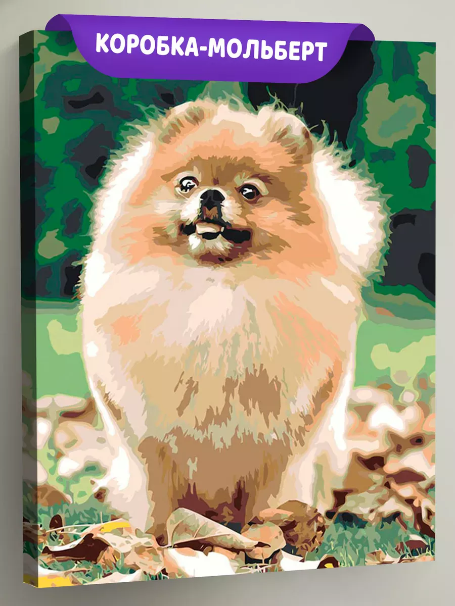 Картина по номерам «Собаки: Шпиц на дорожке в лесу 40х50»