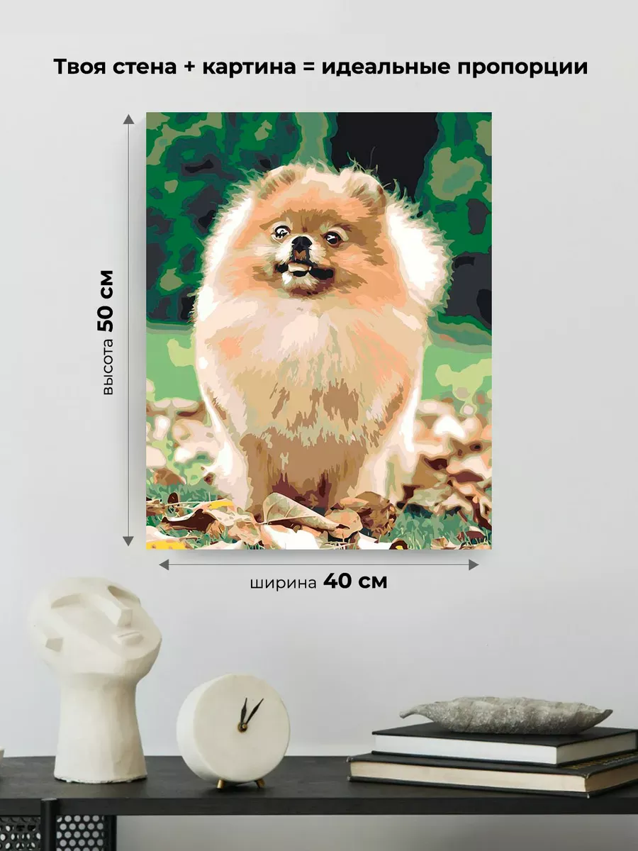 Картина по номерам «Собаки: Шпиц на дорожке в лесу 40х50» — картинка 3