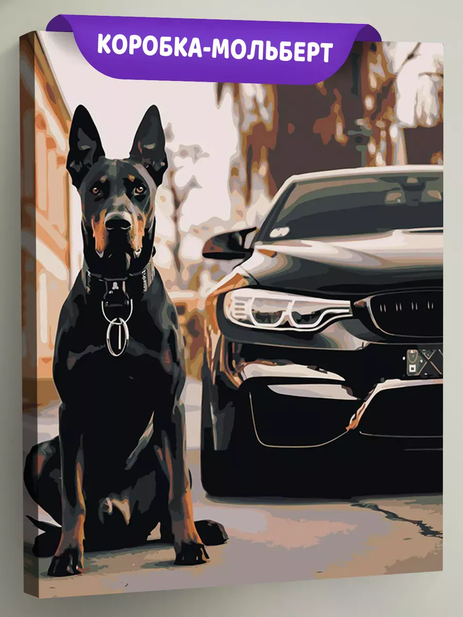 Картина по номерам «Машина BMW и собака доберман 40х50» Картина по номерам «Машина BMW и собака доберман 40х50»