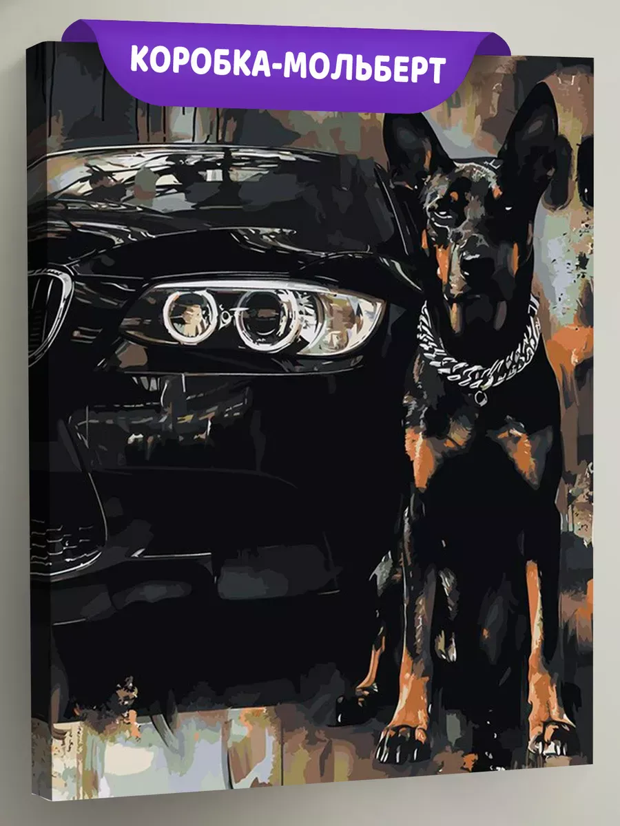 Картина по номерам «Машина BMW и собака доберман арт 40х50»
