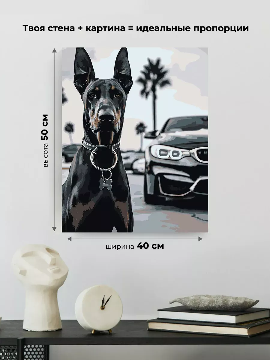 Картина по номерам «Машина BMW и собака доберман монохром» — картинка 3