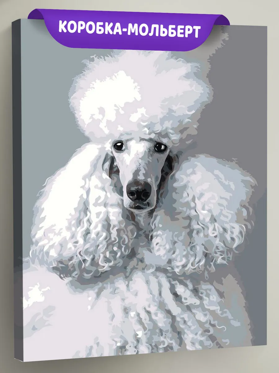 Картина по номерам «Собака пудель белая 40х50» Картина по номерам «Собака пудель белая 40х50»