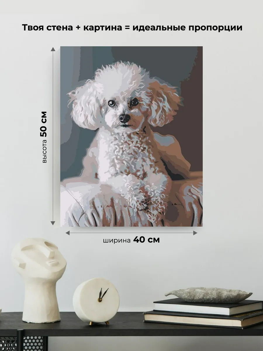Картина по номерам «Собака пудель белая 40х50» — картинка 3