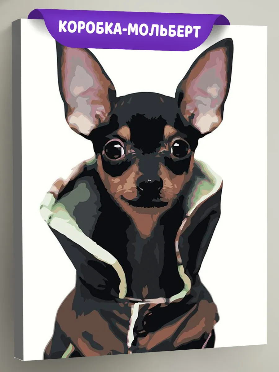 Картина по номерам «Собаки: Той терьер в куртке 40x50»