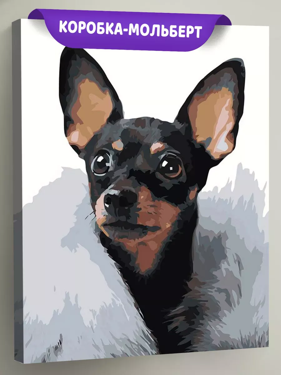 Картина по номерам «Собаки: Той терьер в пледе 40x50» Картина по номерам «Собаки: Той терьер в пледе 40x50»