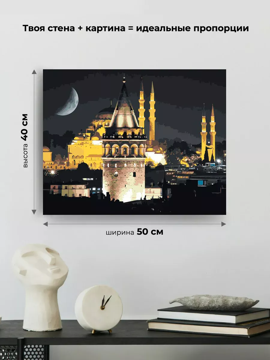 Картина по номерам «Стамбул, Турция: Галатская башня и мечеть» — картинка 3