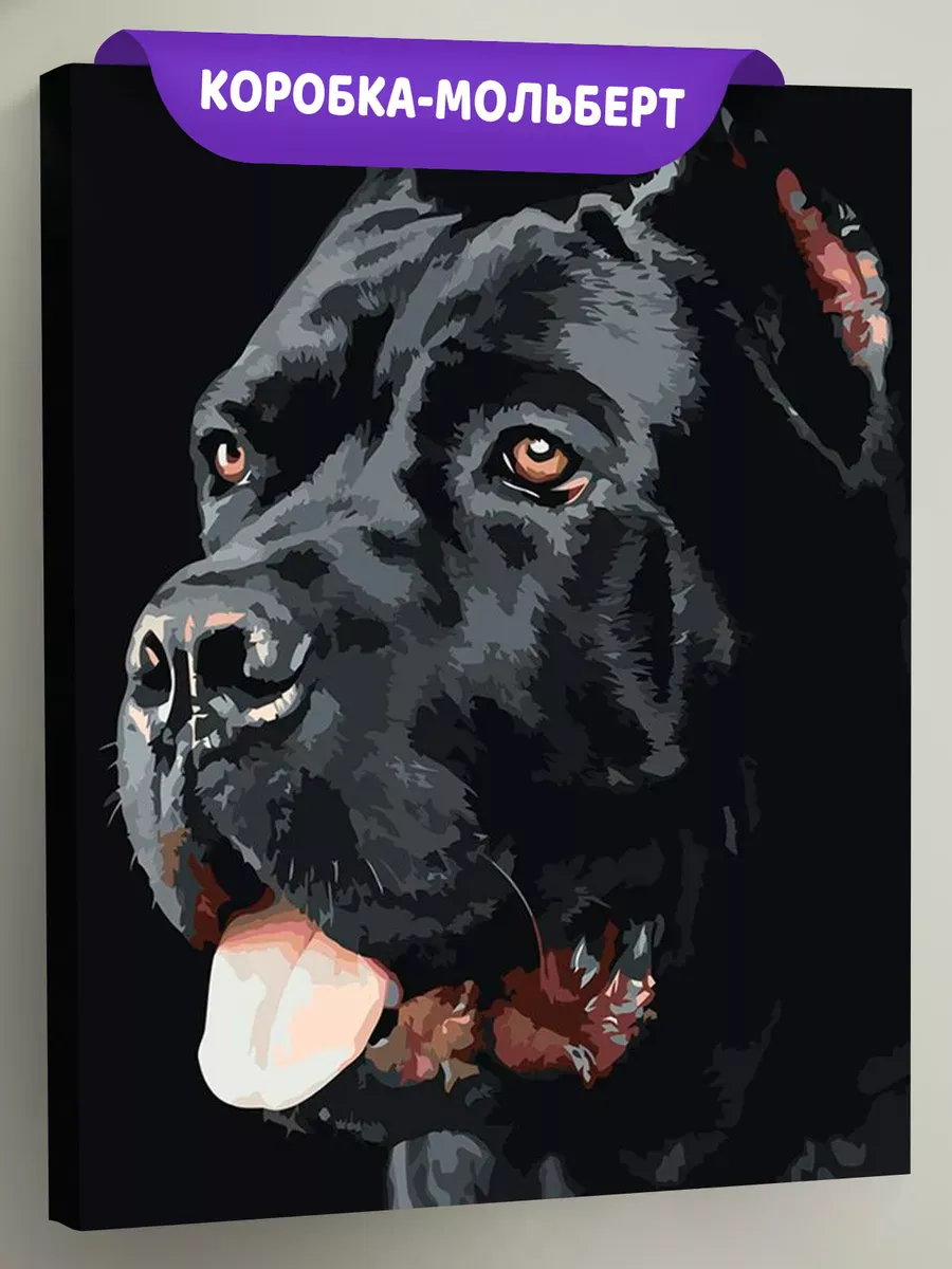 Картина по номерам «Собака Кане корсо черная портрет 40x50» Картина по номерам «Собака Кане корсо черная портрет 40x50»