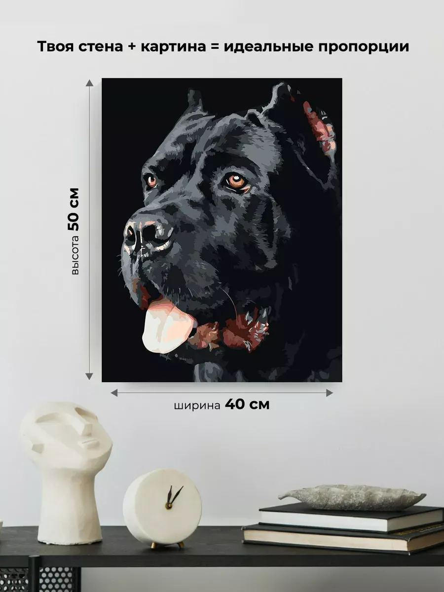 Картина по номерам «Собака Кане корсо черная портрет 40x50» — картинка 3
