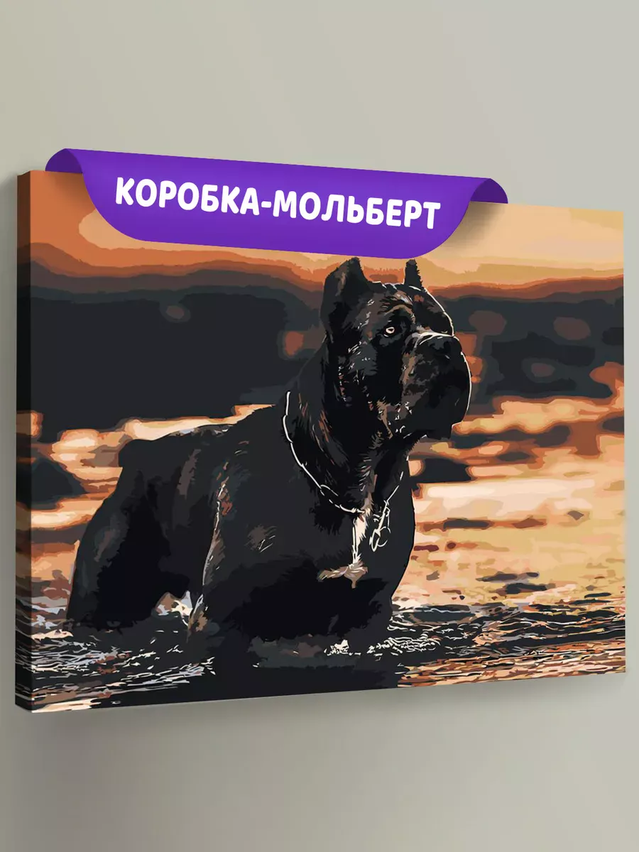 Картина по номерам «Собака Кане корсо черная в озере 40x50»