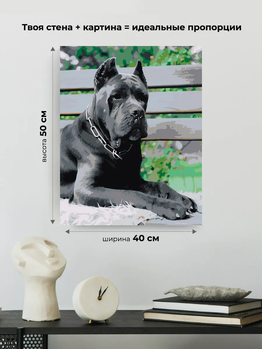 Картина по номерам «Собака Кане корсо черная 40x50» — картинка 3