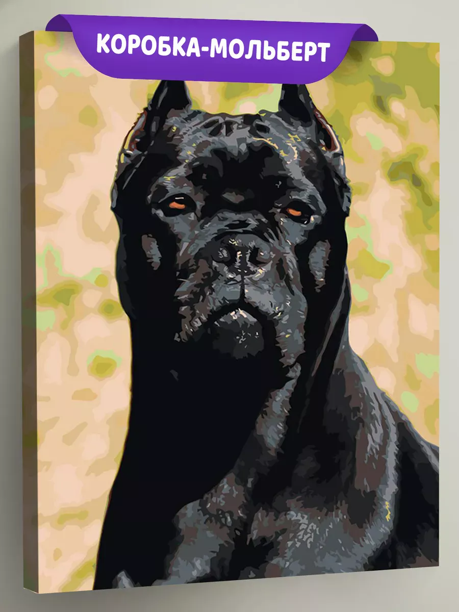 Картина по номерам «Собака Кане корсо черная, осень 40x50»