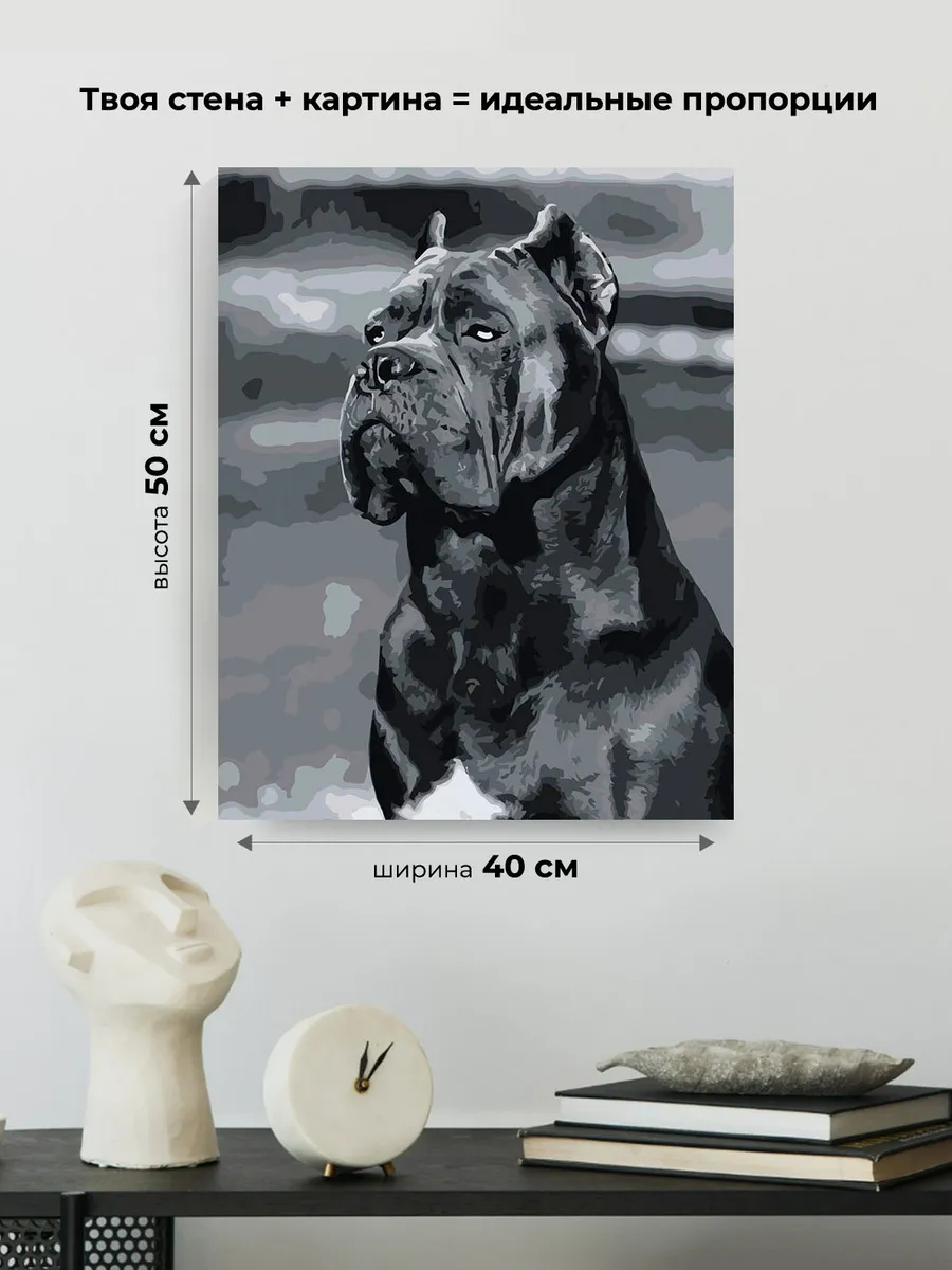 Картина по номерам «Собака Кане корсо чернобелая чб 40x50» — картинка 3