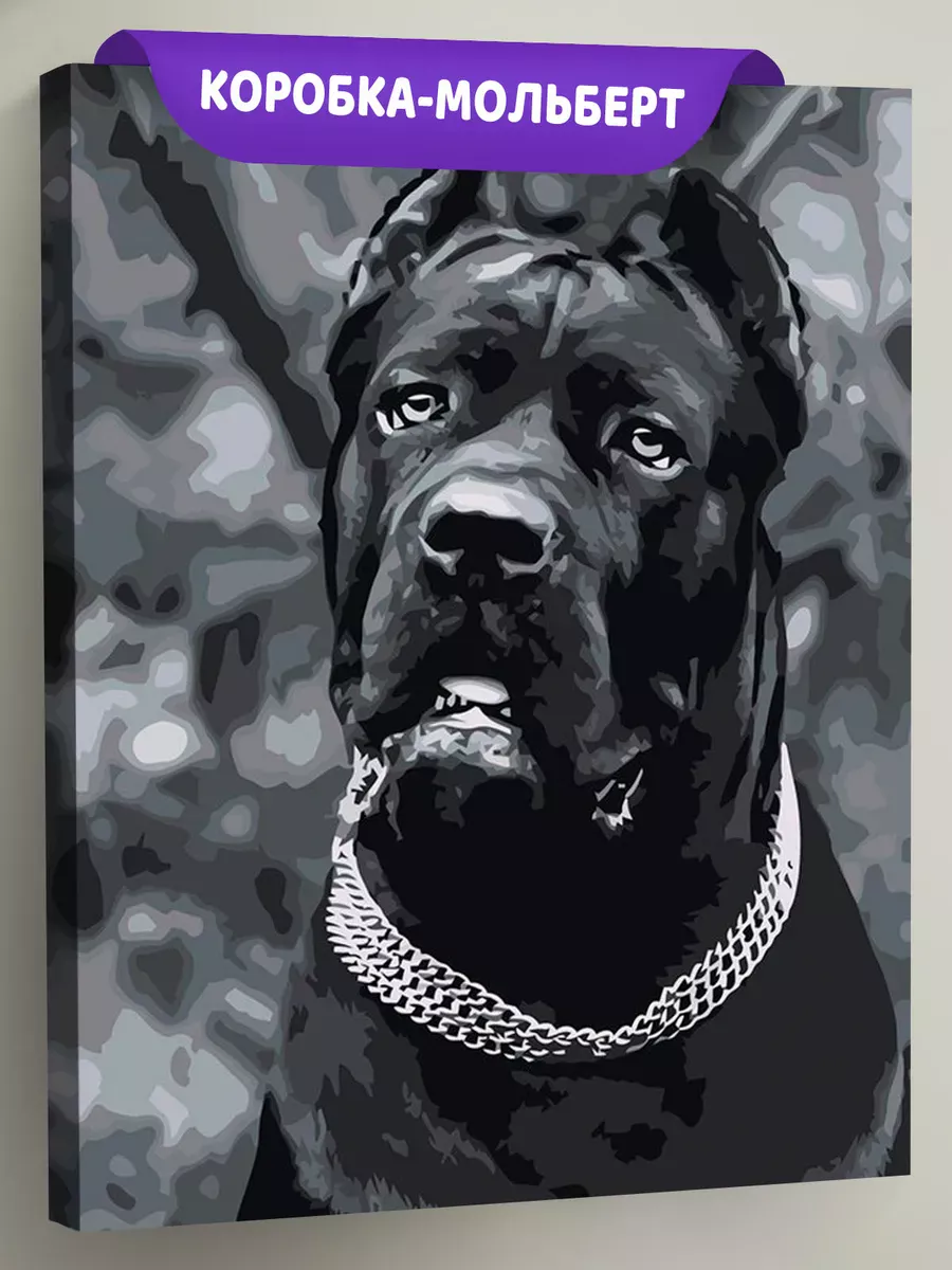 Картина по номерам «Собака Кане корсо чернобелая чб 40x50»