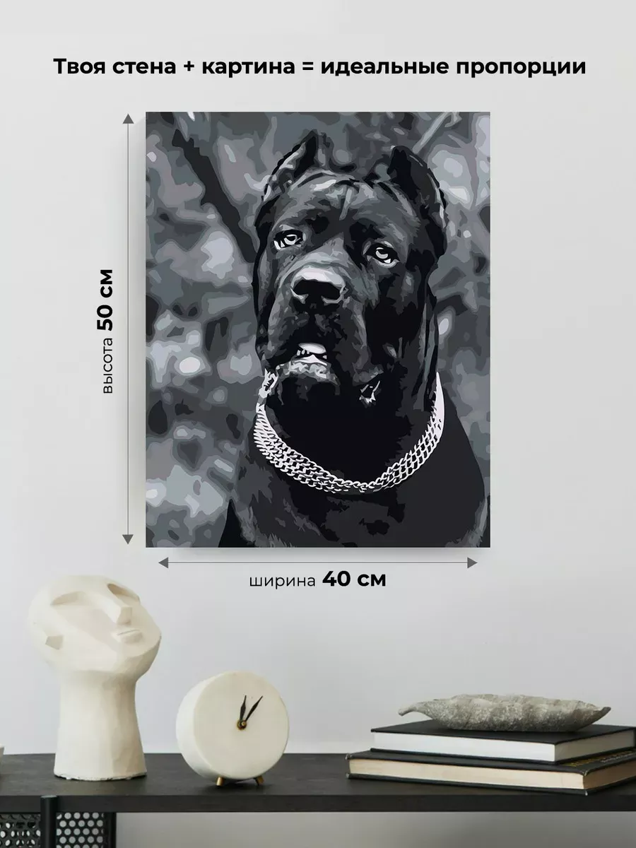 Картина по номерам «Собака Кане корсо чернобелая чб 40x50» — картинка 3