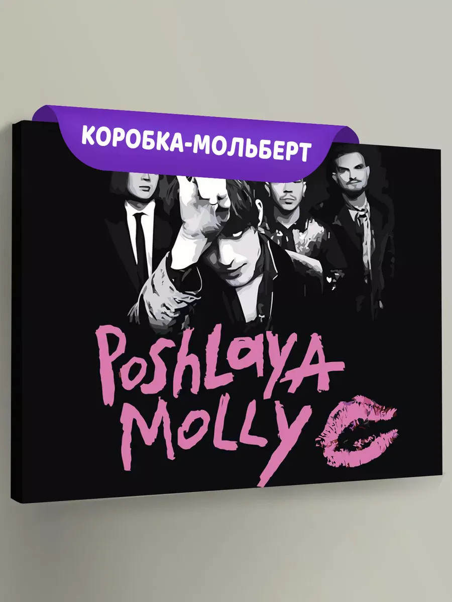 Картина по номерам «Группа Пошлая Молли: монохром арт 40x50»