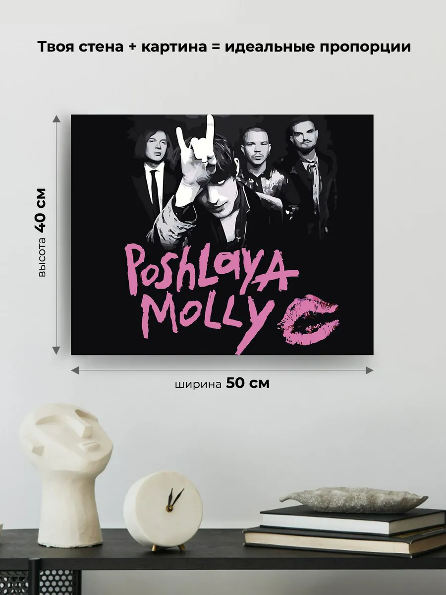 Картина по номерам «Группа Пошлая Молли: монохром арт 40x50» — картинка 3