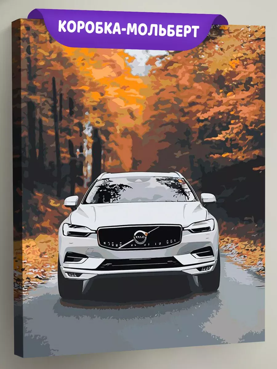 Картина по номерам «Машина Вольво в лесу, осень 40x50»
