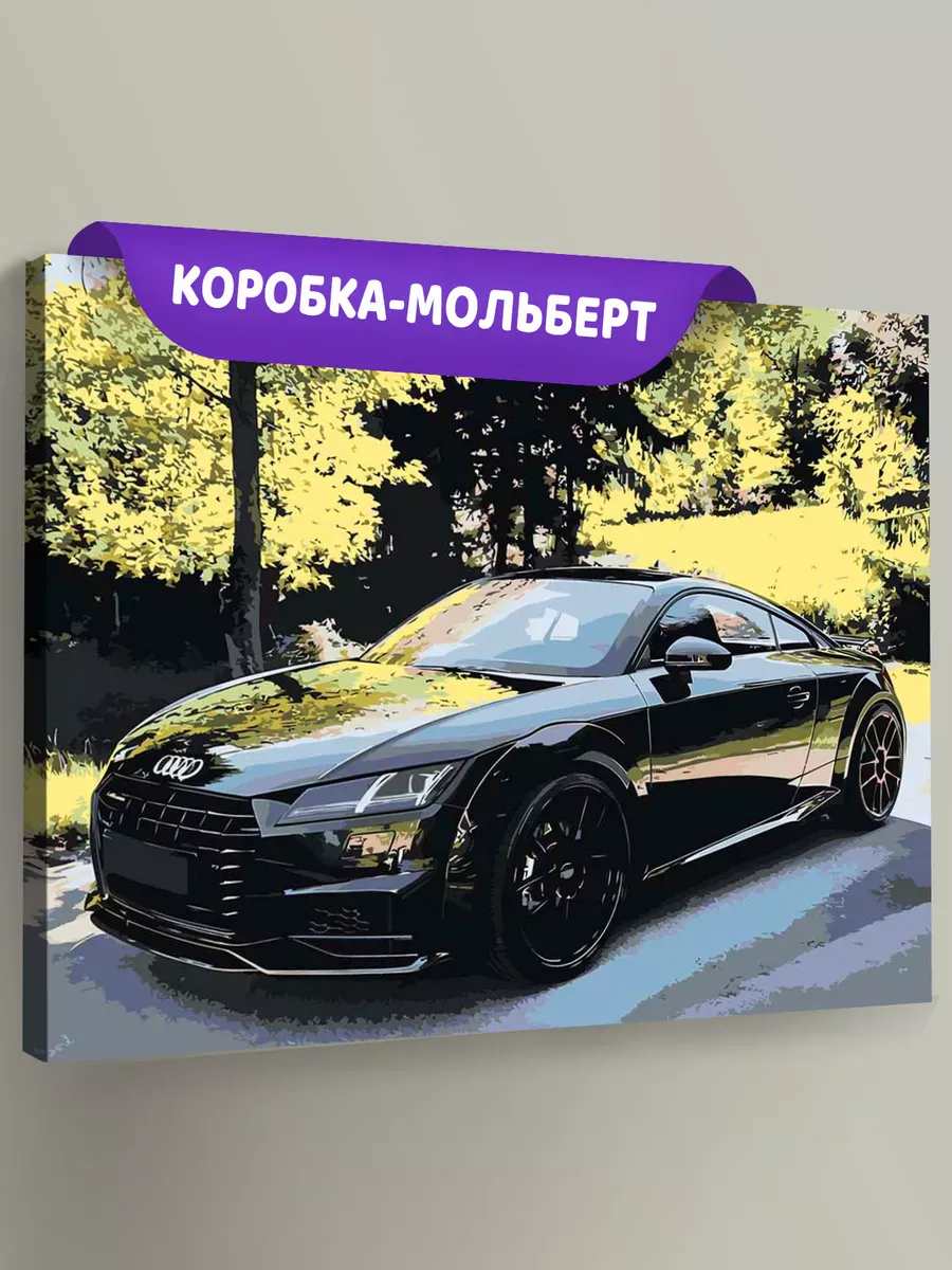 Картина по номерам «Машина Ауди ТТ на дороге в лесу 40x50»