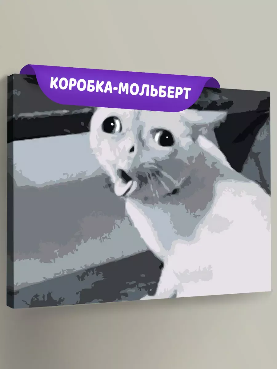 Картина по номерам «Мем, коты из мемов: Белый кот чб 40x50»