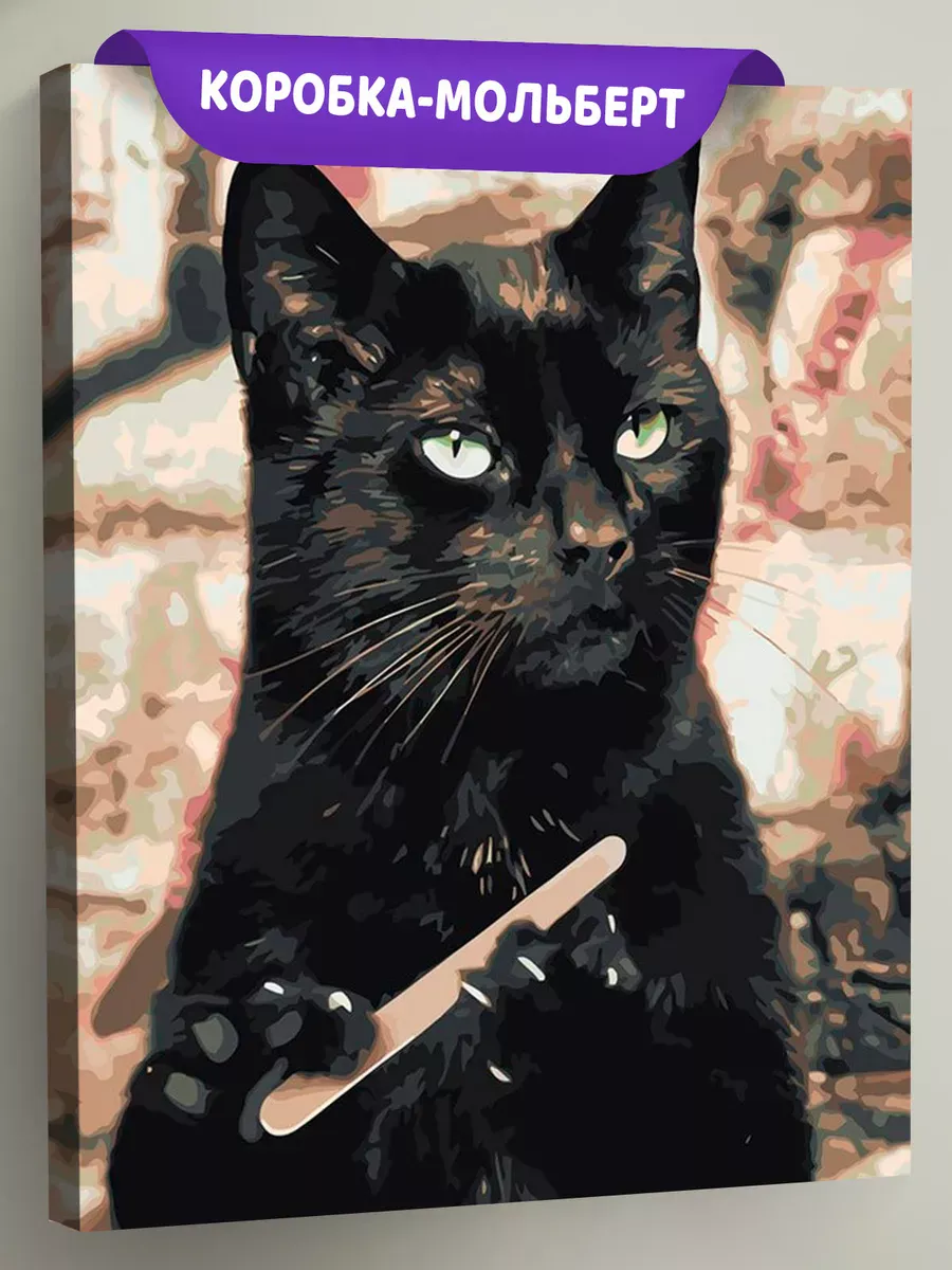 Картина по номерам «Мемы: Черный кот точит когти, Сабрина»