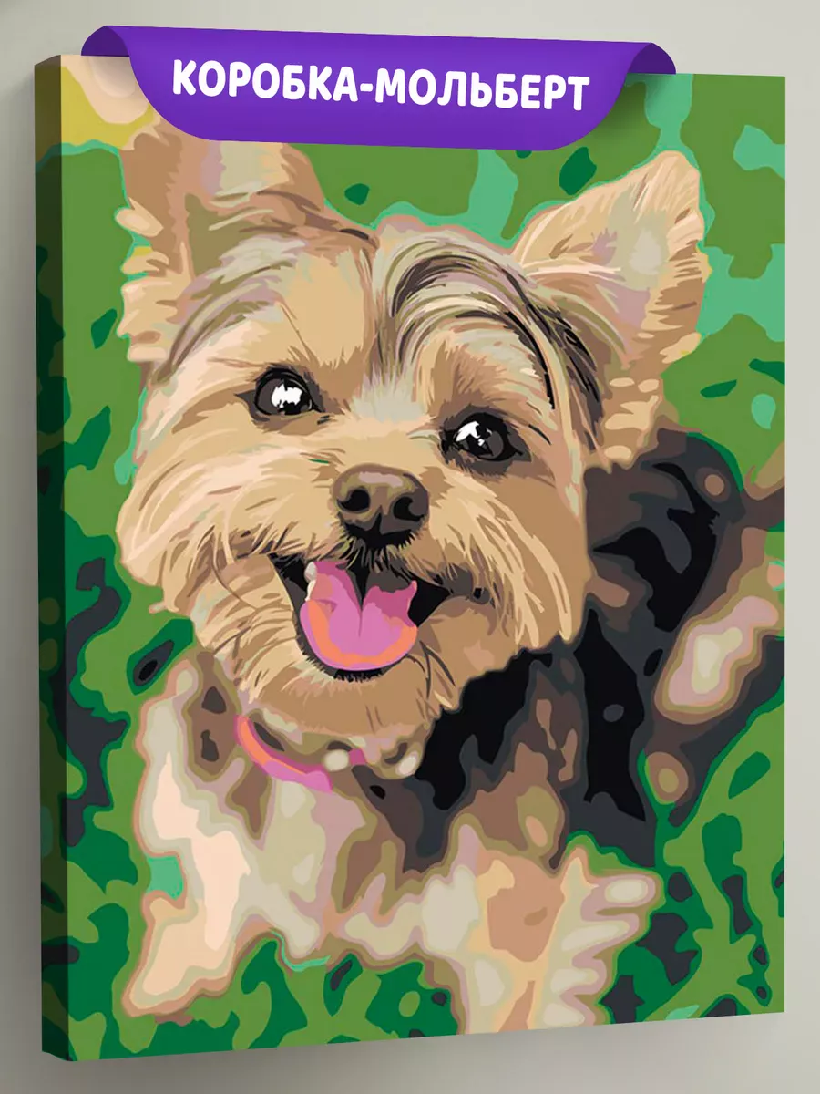 Картина по номерам «Собаки: милый йоркширский терьер 40х50»