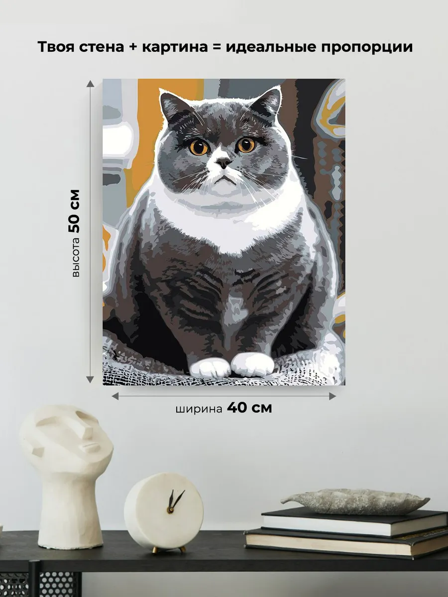 Картина по номерам «Кошки: толстый британский кот 40x50» — картинка 3
