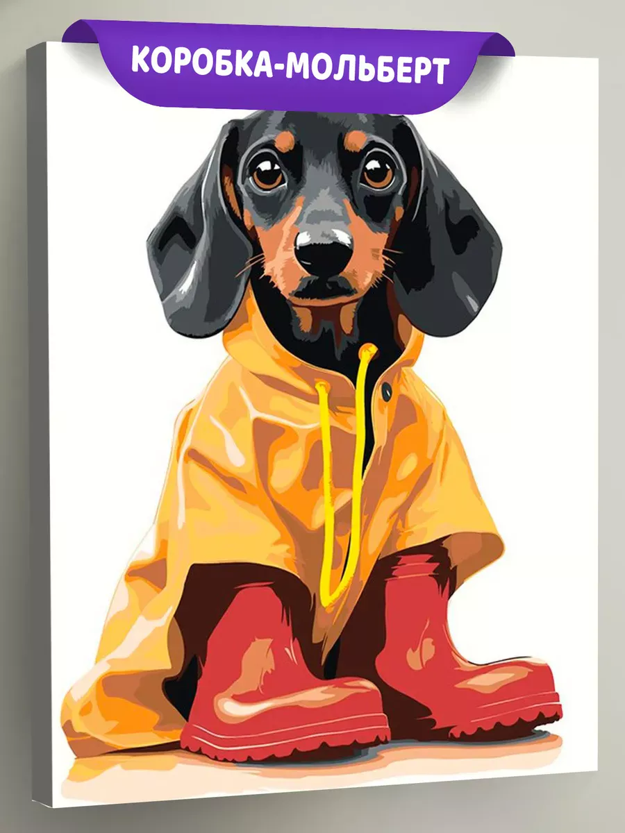 Картина по номерам «Собаки: щенок таксы в дождевике и сапогах»