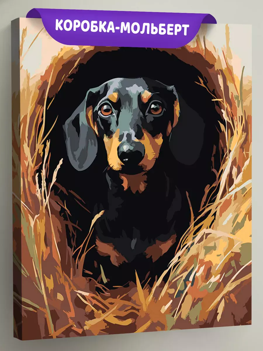 Картина по номерам «Собаки: такса в кроличьей норе 40х50»