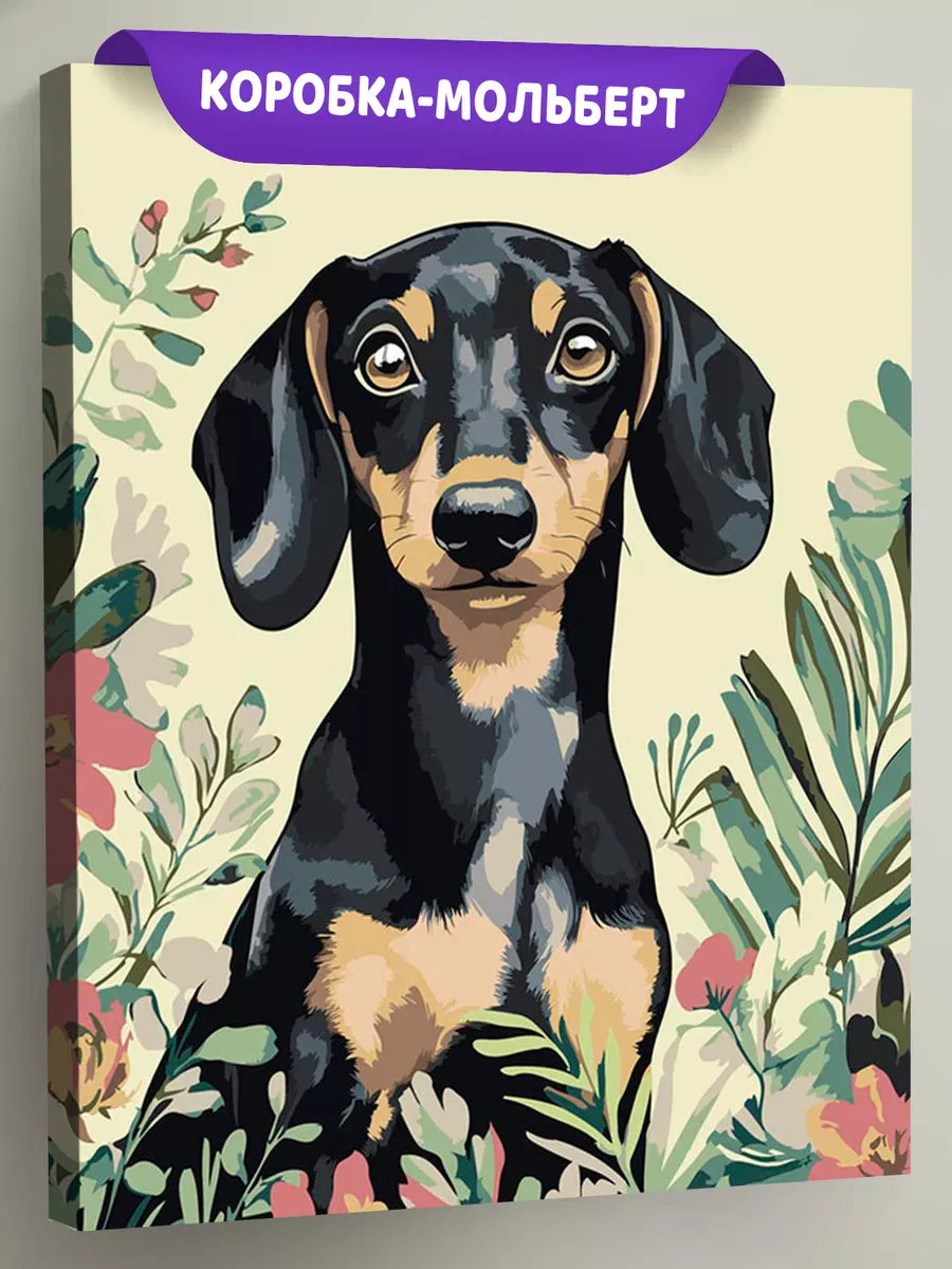 Картина по номерам «Собаки: такса в цветах арт 40х50»