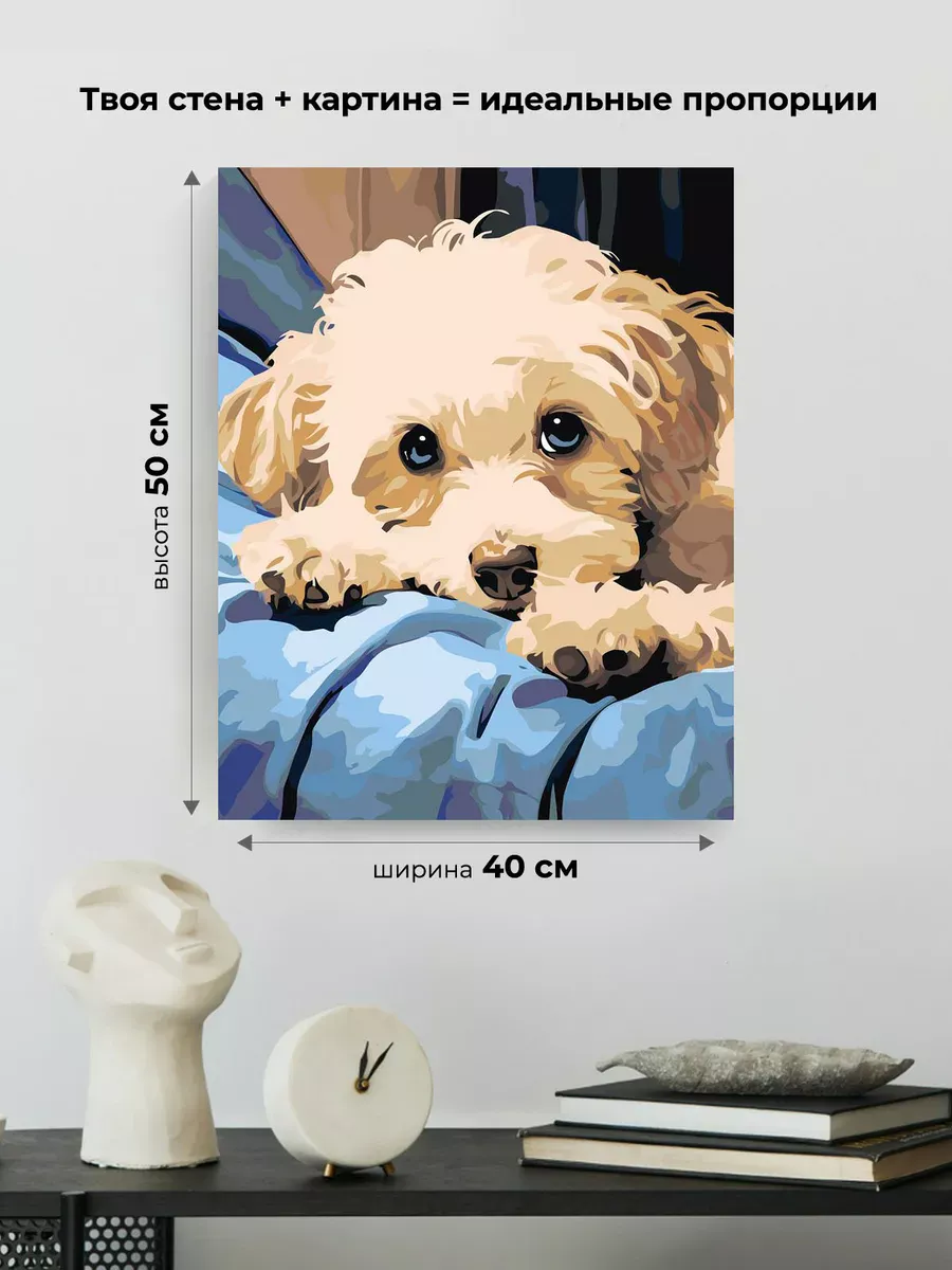 Картина по номерам «Собаки: бежевый щенок мальтипу на кровати» — картинка 3